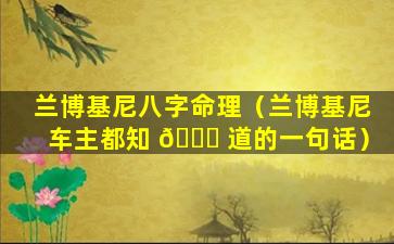 兰博基尼八字命理（兰博基尼车主都知 🐘 道的一句话）